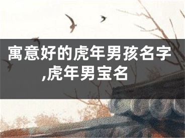 寓意好的虎年男孩名字,虎年男宝名