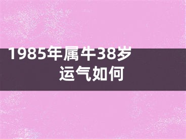 1985年属牛38岁运气如何