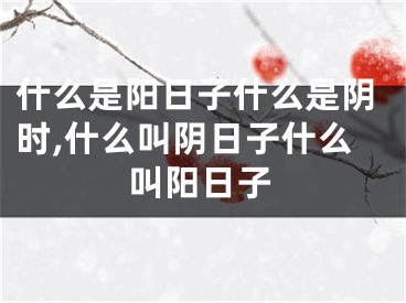 什么是阳日子什么是阴时,什么叫阴日子什么叫阳日子