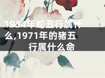 1954年蛇五行属什么,1971年的猪五行属什么命
