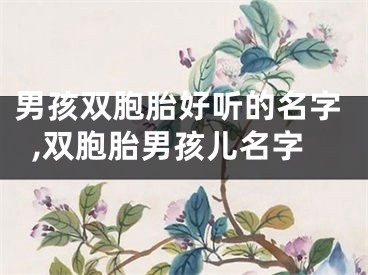 男孩双胞胎好听的名字,双胞胎男孩儿名字