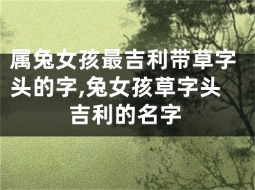 属兔女孩最吉利带草字头的字,兔女孩草字头吉利的名字