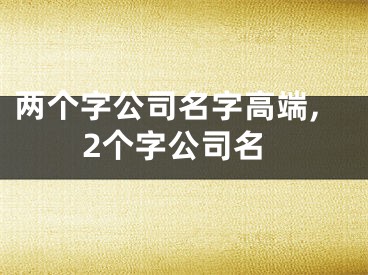 两个字公司名字高端,2个字公司名