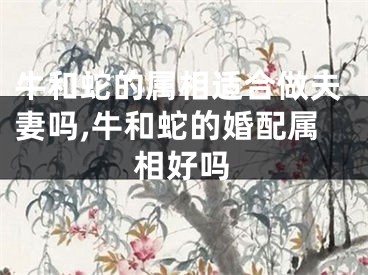 牛和蛇的属相适合做夫妻吗,牛和蛇的婚配属相好吗