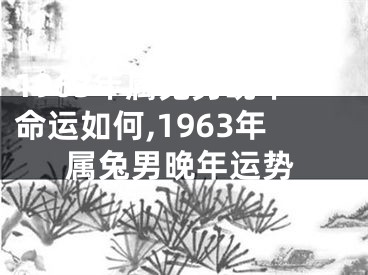1963年属兔男晚年命运如何,1963年属兔男晚年运势