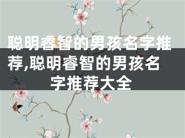 聪明睿智的男孩名字推荐,聪明睿智的男孩名字推荐大全