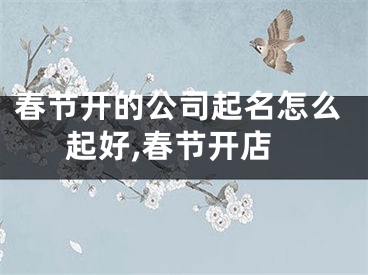 春节开的公司起名怎么起好,春节开店