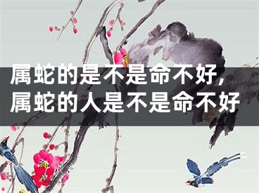 属蛇的是不是命不好,属蛇的人是不是命不好