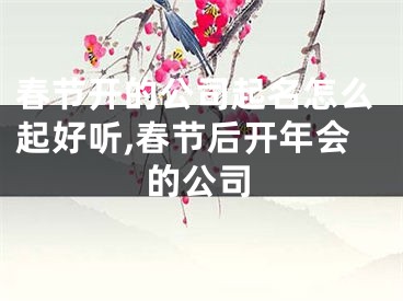 春节开的公司起名怎么起好听,春节后开年会的公司