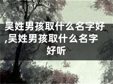 吴姓男孩取什么名字好,吴姓男孩取什么名字好听