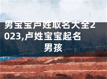 男宝宝卢姓取名大全2023,卢姓宝宝起名男孩