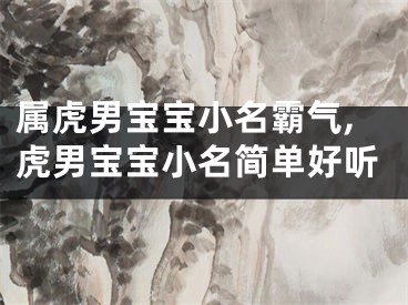 属虎男宝宝小名霸气,虎男宝宝小名简单好听