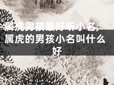 属虎男孩最好听小名,属虎的男孩小名叫什么好