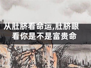从肚脐看命运,肚脐眼看你是不是富贵命