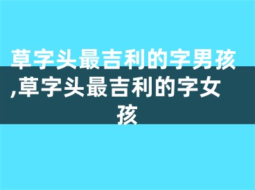 草字头最吉利的字男孩,草字头最吉利的字女孩