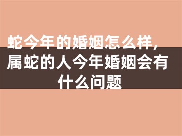 蛇今年的婚姻怎么样,属蛇的人今年婚姻会有什么问题