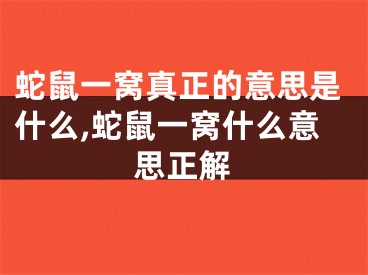 蛇鼠一窝真正的意思是什么,蛇鼠一窝什么意思正解