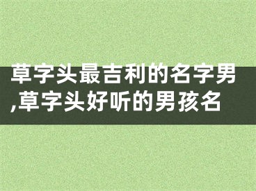 草字头最吉利的名字男,草字头好听的男孩名