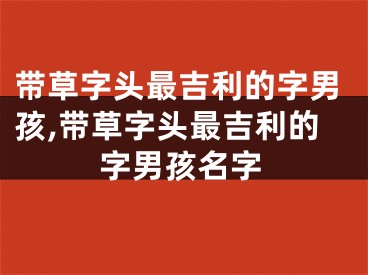 带草字头最吉利的字男孩,带草字头最吉利的字男孩名字
