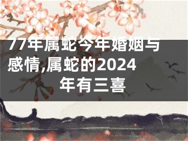 77年属蛇今年婚姻与感情,属蛇的2024年有三喜