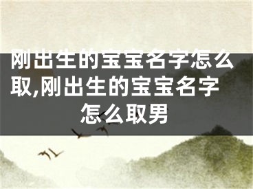 刚出生的宝宝名字怎么取,刚出生的宝宝名字怎么取男