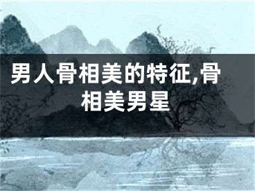 男人骨相美的特征,骨相美男星
