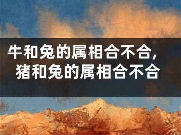 牛和兔的属相合不合,猪和兔的属相合不合