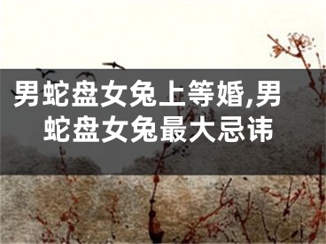男蛇盘女兔上等婚,男蛇盘女兔最大忌讳