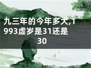 九三年的今年多大,1993虚岁是31还是30