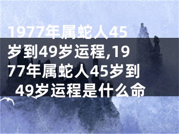 1977年属蛇人45岁到49岁运程,1977年属蛇人45岁到49岁运程是什么命