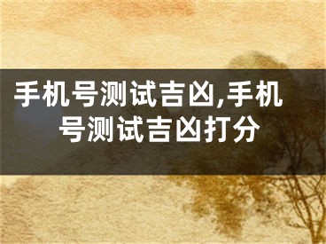 手机号测试吉凶,手机号测试吉凶打分