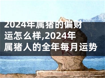 2024年属猪的偏财运怎么样,2024年属猪人的全年每月运势