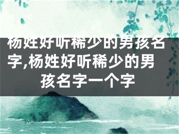杨姓好听稀少的男孩名字,杨姓好听稀少的男孩名字一个字
