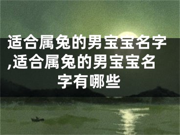 适合属兔的男宝宝名字,适合属兔的男宝宝名字有哪些