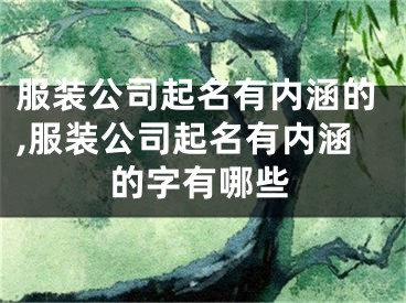 服装公司起名有内涵的,服装公司起名有内涵的字有哪些