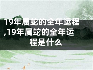 19年属蛇的全年运程,19年属蛇的全年运程是什么