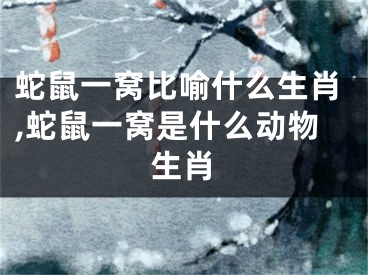 蛇鼠一窝比喻什么生肖,蛇鼠一窝是什么动物生肖