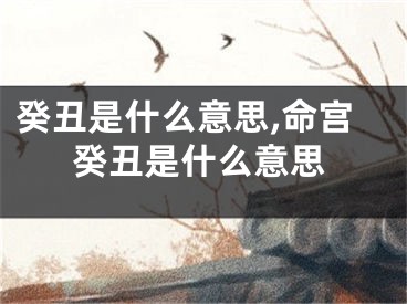 癸丑是什么意思,命宫癸丑是什么意思