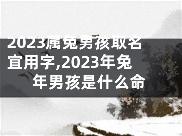 2023属兔男孩取名宜用字,2023年兔年男孩是什么命