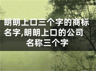 朗朗上口三个字的商标名字,朗朗上口的公司名称三个字