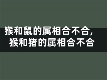 猴和鼠的属相合不合,猴和猪的属相合不合
