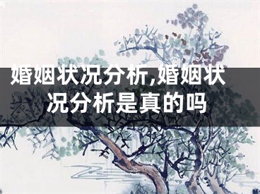 婚姻状况分析,婚姻状况分析是真的吗
