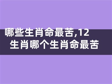 哪些生肖命最苦,12生肖哪个生肖命最苦