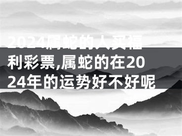 2024属蛇的人买福利彩票,属蛇的在2024年的运势好不好呢