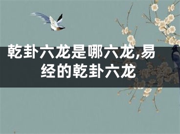 乾卦六龙是哪六龙,易经的乾卦六龙