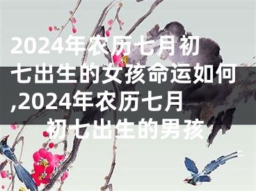 2024年农历七月初七出生的女孩命运如何,2024年农历七月初七出生的男孩