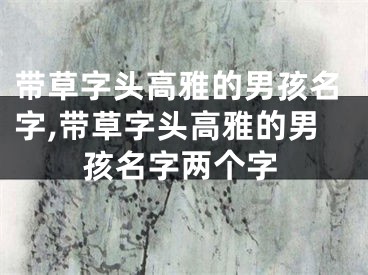 带草字头高雅的男孩名字,带草字头高雅的男孩名字两个字