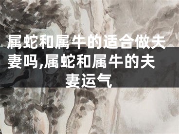 属蛇和属牛的适合做夫妻吗,属蛇和属牛的夫妻运气