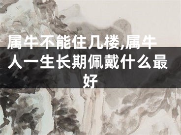 属牛不能住几楼,属牛人一生长期佩戴什么最好
