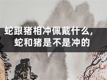 蛇跟猪相冲佩戴什么,蛇和猪是不是冲的